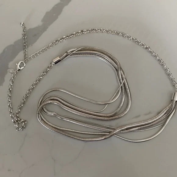 Chico’s Silver Long Necklace - Picture 1 of 3